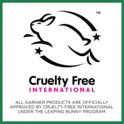 Garnier SkinActive Vitamin C Sheet Mask -Daily Necessities Store 394724 garnier skinactive sheet mask vitamin c 2